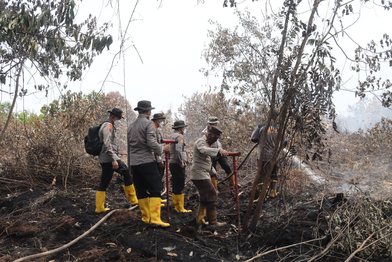Cegah Karhutla Berulang, Siswa Sespimmen Polri Pantau Lahan Bekas Terbakar di Dumai