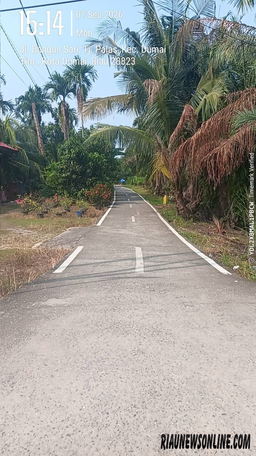 Marka Jalan Gang Pusara Diduga dari APBD, Muncul Sorotan soal Pokir hingga Potensi Pemborosan