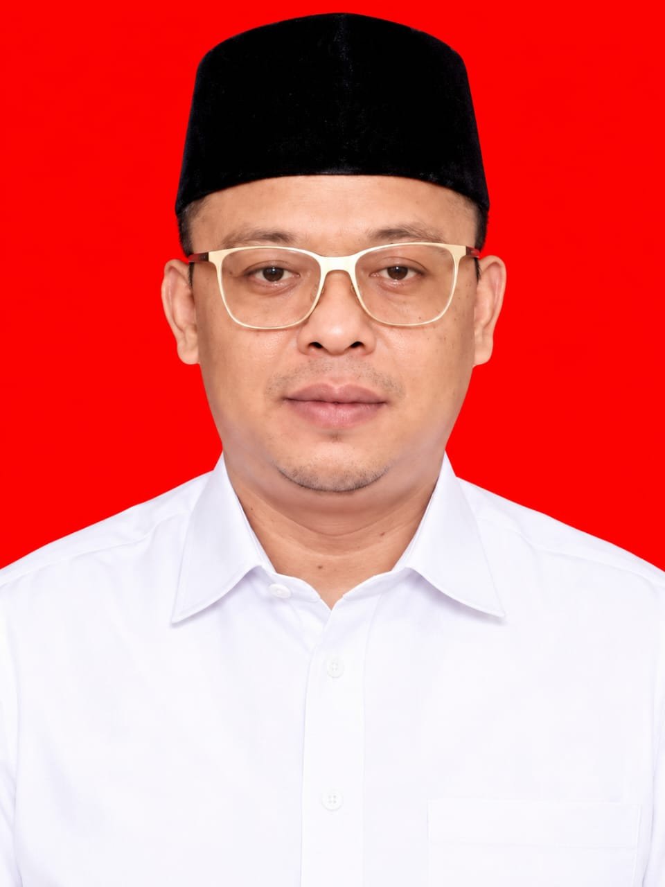 Maulana Bungaran Dilantik di Istana Negara, Putra Kelahiran Dumai Emban Jabatan Strategis