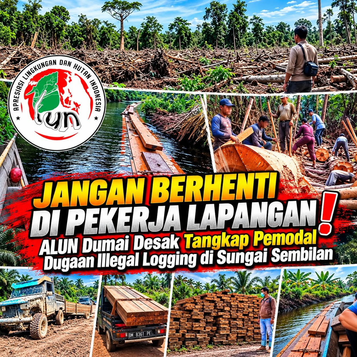Jangan Berhenti di Pekerja Lapangan! ALUN Dumai Desak Pemodal Dugaan Illegal Logging Diusut