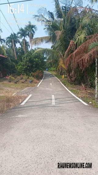 Marka Jalan Gang Pusara Diduga dari APBD, Muncul Sorotan soal Pokir hingga Potensi Pemborosan