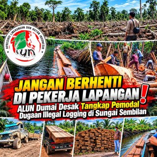 Jangan Berhenti di Pekerja Lapangan! ALUN Dumai Desak Pemodal Dugaan Illegal Logging Diusut